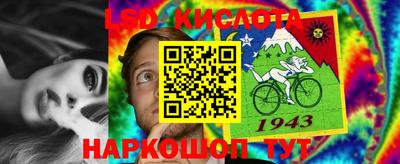 MDMA Premium VHQ Камышлов