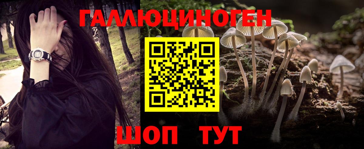 закладки  Псилоцибиновые грибы мицелий  Галлюциногенные грибы Psilocybine cubensis  Вход с VPN  Краснознаменск 