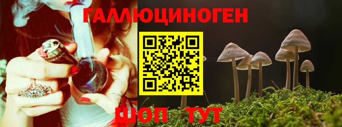 Псилоцибиновые грибы Psilocybe Краснознаменск