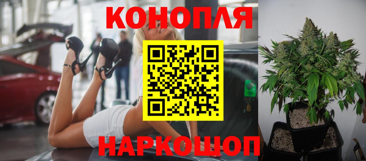 Конопля MAZAR  Канабис MAZAR  Краснознаменск  МАРИХУАНА White Widow  Вход с VPN  Бошки марихуана планчик 
